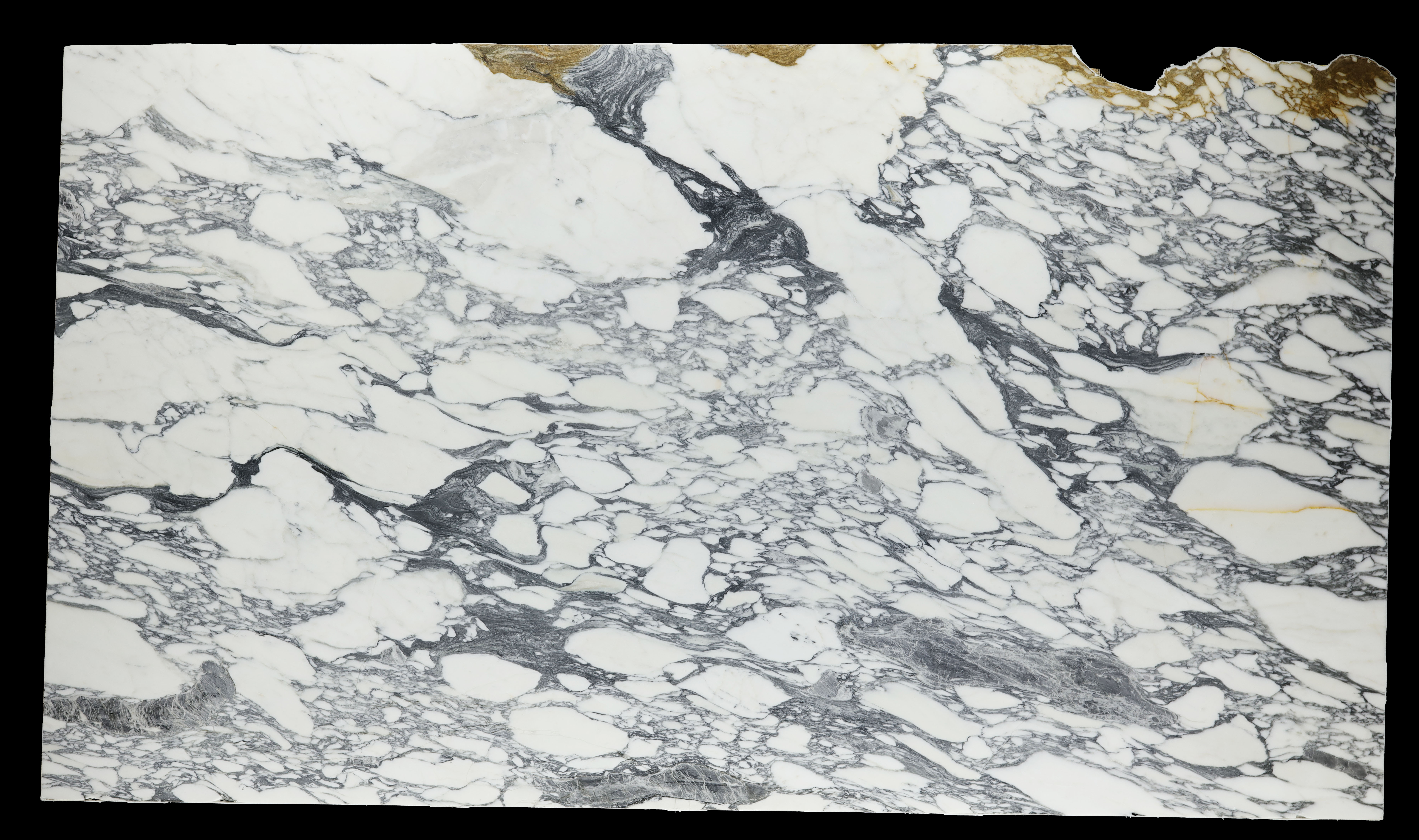 Arabescato Vagli Marble Slab