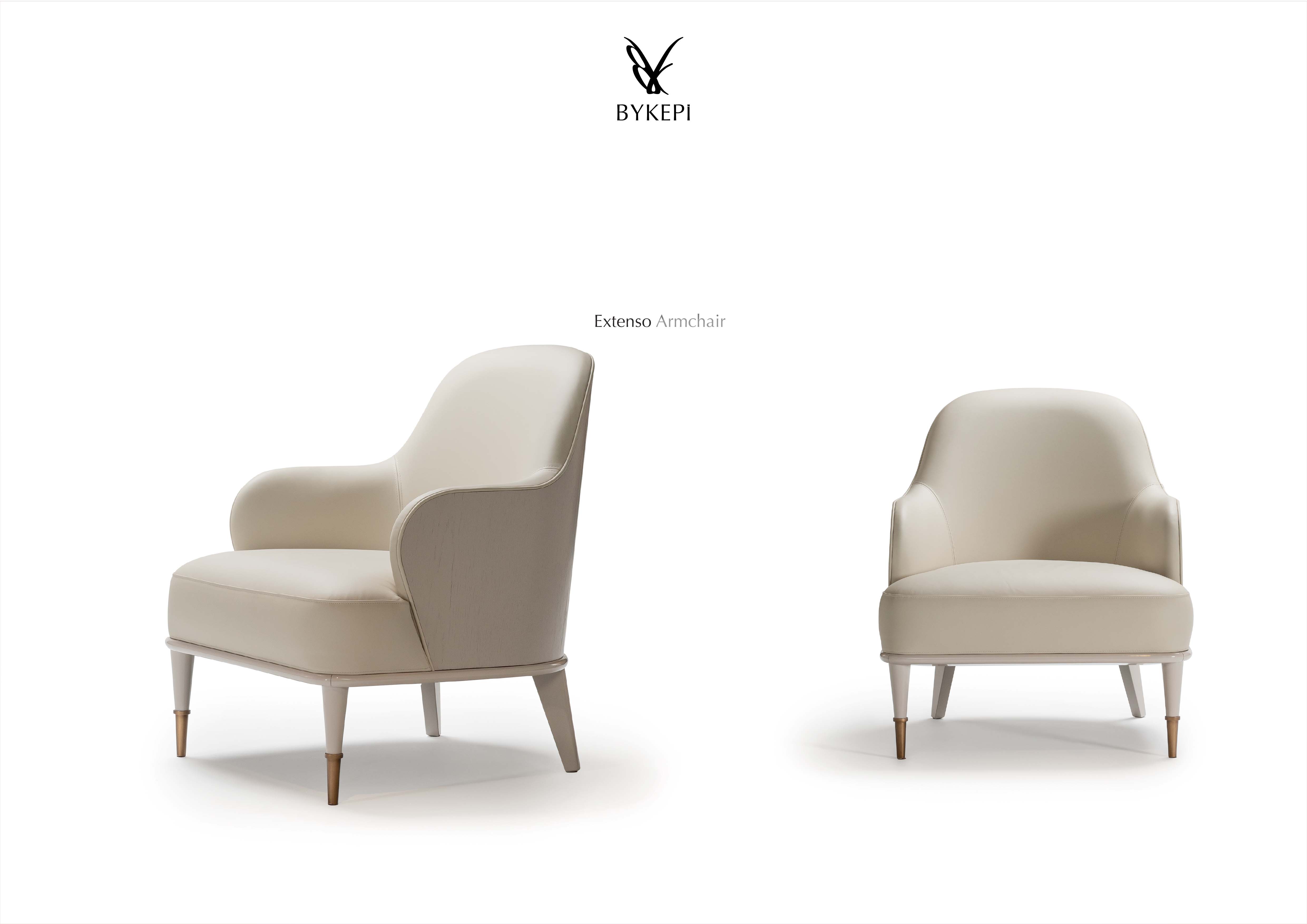 EXTENSO ARMCHAIR-1